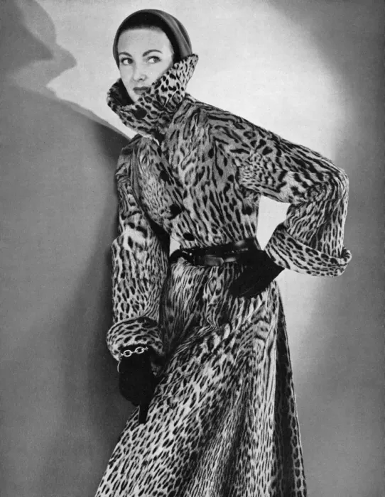 Framed Print : Ocelot coat, 1953 Framed Print : Ocelot coat, 1953