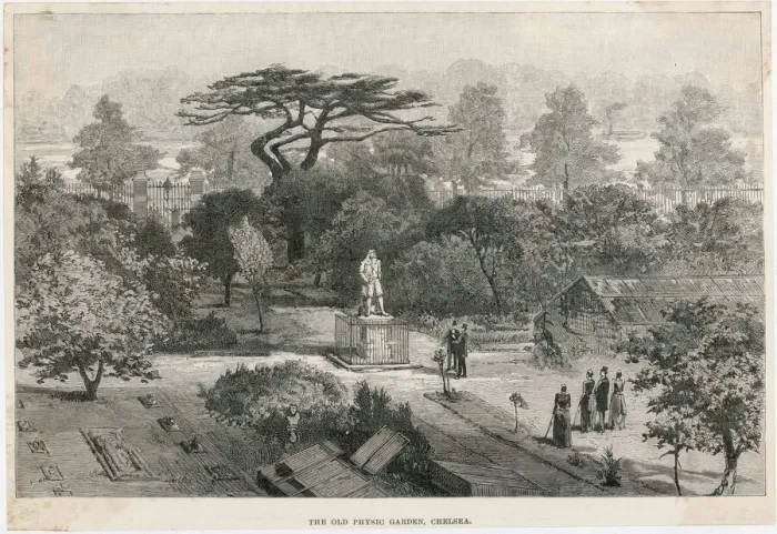 Framed Print : Old Physick Garden, Chelsea, London
