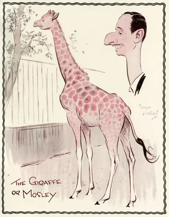 Framed Print : Oswald Mosley as a giraffe by George Whitelaw Framed Print : Oswald Mosley as a giraffe by George Whitelaw