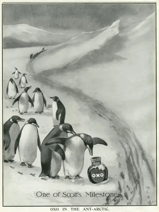 Framed Print : Oxo advertisement - Scott Antarctic expedition endorsement Framed Print : Oxo advertisement - Scott Antarctic expedition endorsement