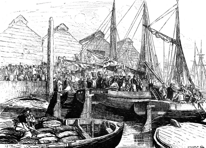 Framed Print : Oyster Boats at Billingsgate Market, London, 1877 Framed Print : Oyster Boats at Billingsgate Market, London, 1877