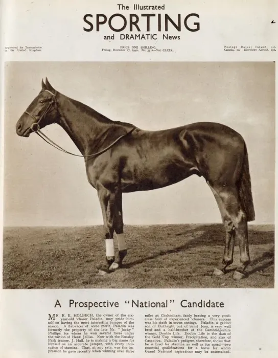 Framed Print : Paladin, the horse owned by Mr. R. Holbech featured on the front cover of The Illustrated Framed Print : Paladin, the horse owned by Mr. R. Holbech featured on the front cover of The Illustrated