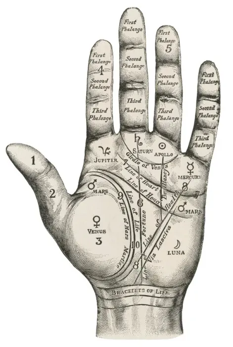 Framed Print : Palmistry map of the hand Framed Print : Palmistry map of the hand