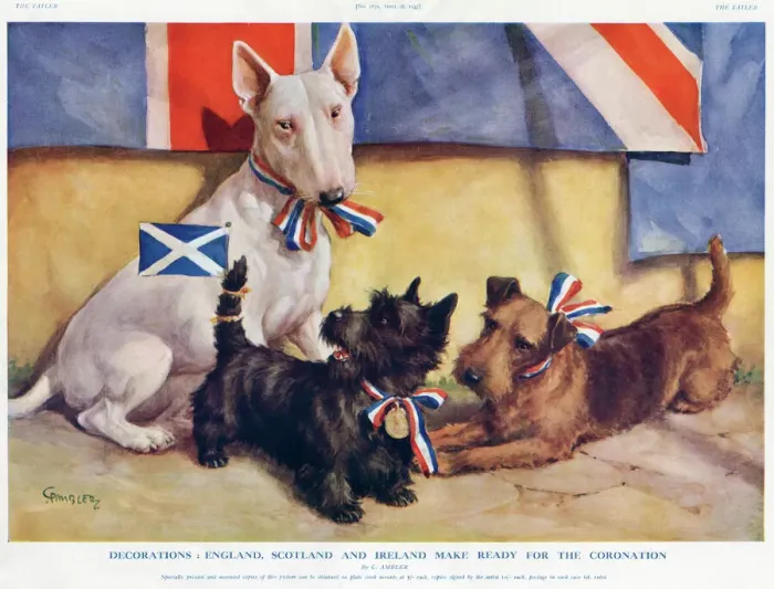 Framed Print : Patriotic dogs
