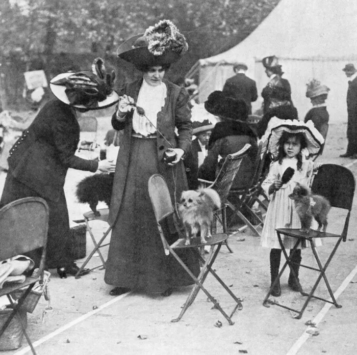 Framed Print : Perfuming probable prizewinners: dog show perfume, 1911 Framed Print : Perfuming probable prizewinners: dog show perfume, 1911