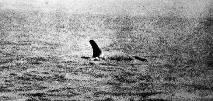 Framed Print : Photo of the Loch Ness Monster? Framed Print : Photo of the Loch Ness Monster?