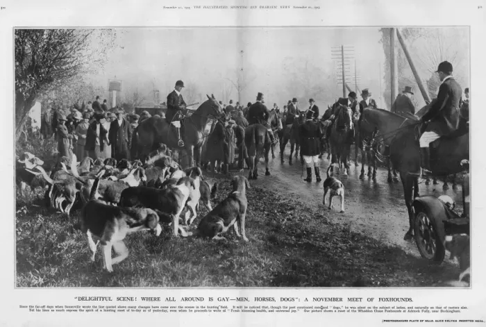 Framed Print : Photo of the Whaddon Chase Fozhounds at Adstock Folly