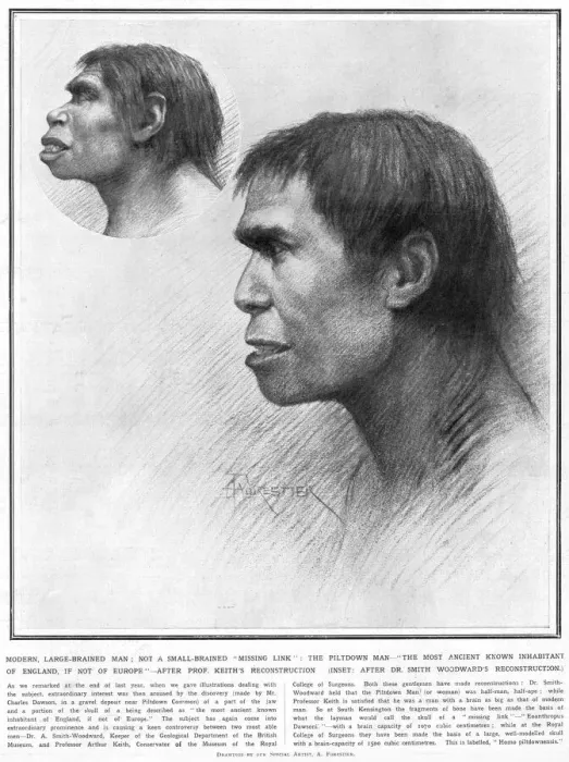 Framed Print : Piltdown man reconstructed Framed Print : Piltdown man reconstructed