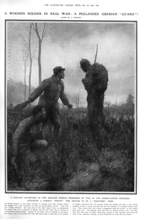 Framed Print : A pollarded German Guard : trees as a soldier, 1916 Framed Print : A pollarded German Guard : trees as a soldier, 1916