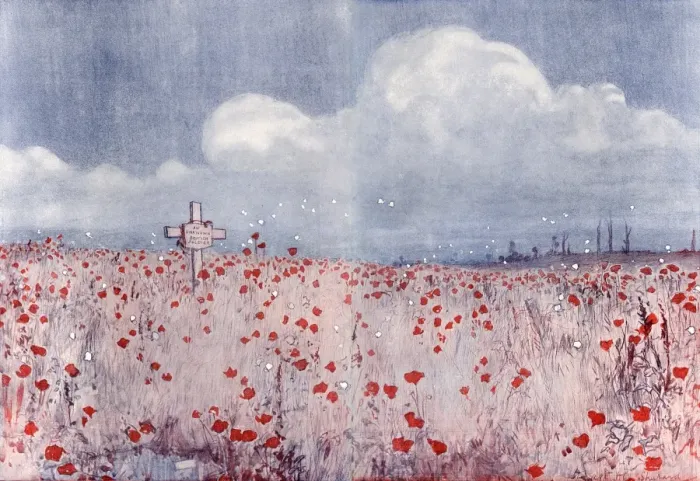 Framed Print : Poppy field and grave of unknown soldier Framed Print : Poppy field and grave of unknown soldier
