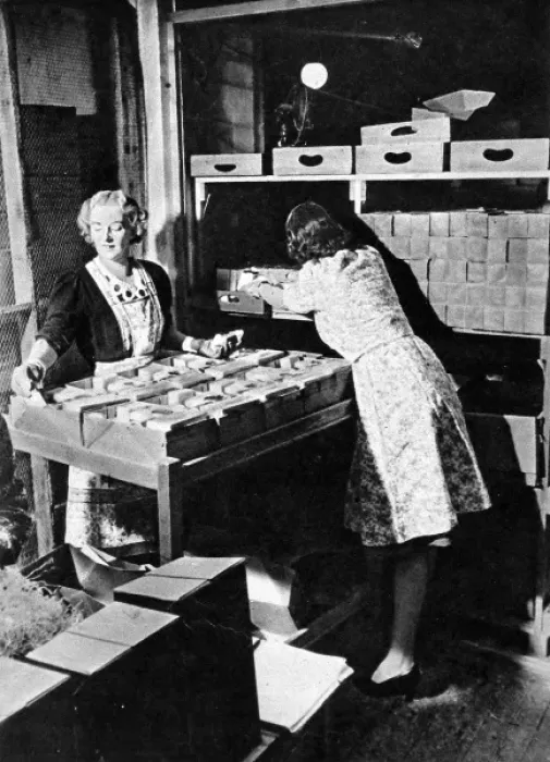 Framed Print : Preparing Red Cross food parcels Framed Print : Preparing Red Cross food parcels