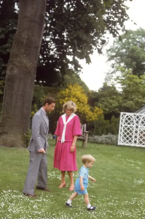 Framed Print : Prince Charles, Princess Diana and Prince William Framed Print : Prince Charles, Princess Diana and Prince William