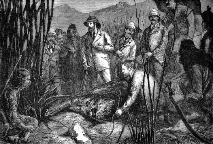 Framed Print : The Prince of Wales after Shooting his First Tiger, 1877 Framed Print : The Prince of Wales after Shooting his First Tiger, 1877