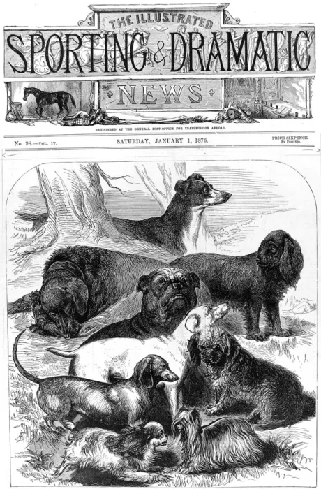 Framed Print : Prize Winning Dogs at the Alexandra Palace Show, 1876 Framed Print : Prize Winning Dogs at the Alexandra Palace Show, 1876