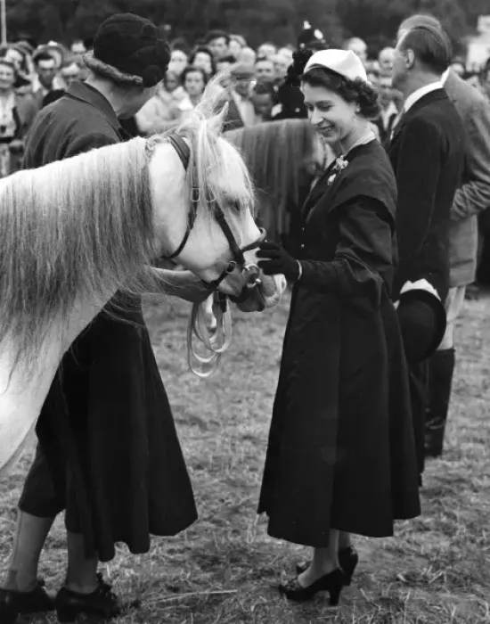Framed Print : Queen Elizabeth II and pony Framed Print : Queen Elizabeth II and pony