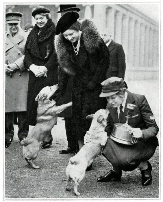 Framed Print : The Queen and Princesses corgis, inspection of YMCA canteen