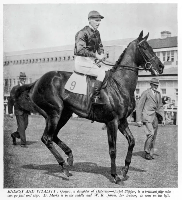 Framed Print : The racehorse Godiva in 1940 Framed Print : The racehorse Godiva in 1940