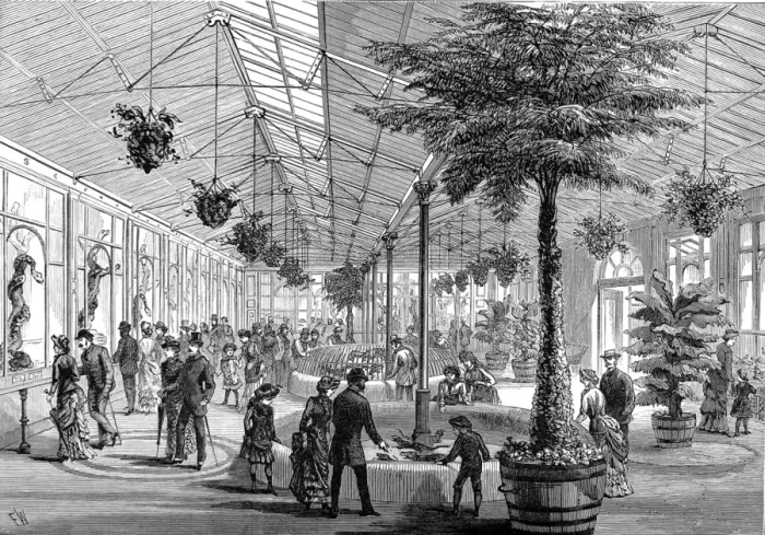 Framed Print : The Reptile House of London Zoo, 1883 Framed Print : The Reptile House of London Zoo, 1883