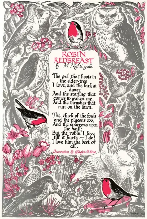 Framed Print : Robin Redbreast