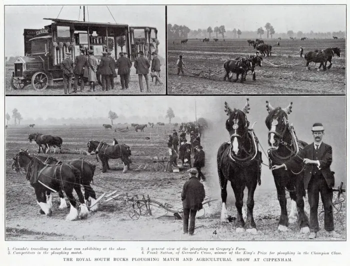 Framed Print : The Royal South Bucks ploughing match and agricultural show at Cippenham, 1913. 1 Framed Print : The Royal South Bucks ploughing match and agricultural show at Cippenham, 1913. 1