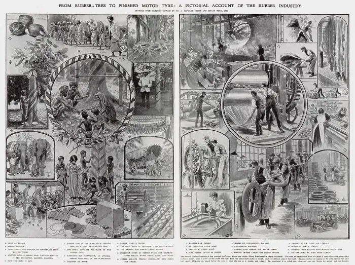 Framed Print : Rubber Tree to Finished Motor Tyres 1907 Framed Print : Rubber Tree to Finished Motor Tyres 1907