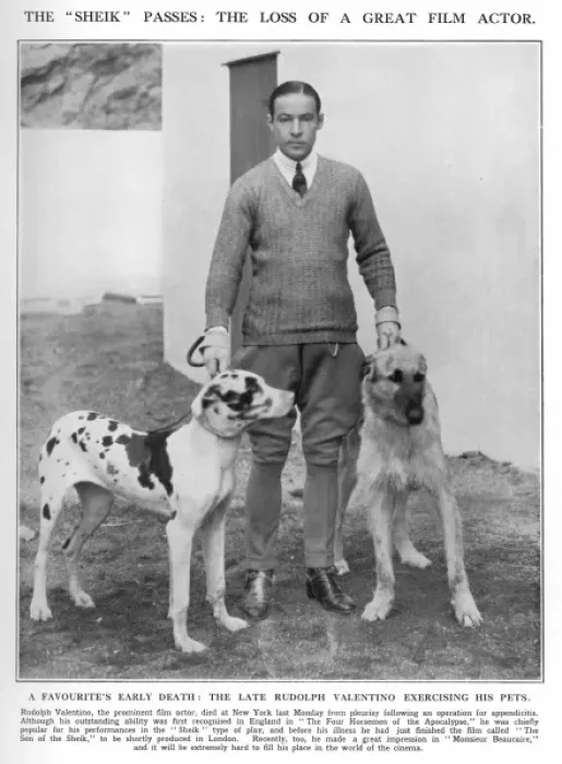 Framed Print : Rudolph Valentino with his Dogs 1926 Framed Print : Rudolph Valentino with his Dogs 1926
