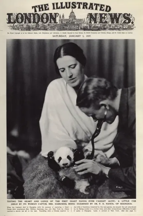 Framed Print : Ruth Harkness and her baby Giant Panda, Sun-Lin Framed Print : Ruth Harkness and her baby Giant Panda, Sun-Lin