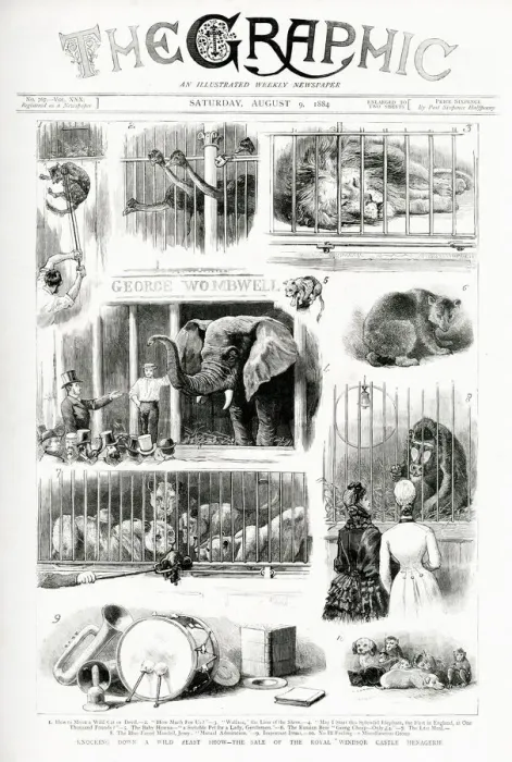 Framed Print : The Sale of the Royal Windsor Castle Menagerie Framed Print : The Sale of the Royal Windsor Castle Menagerie