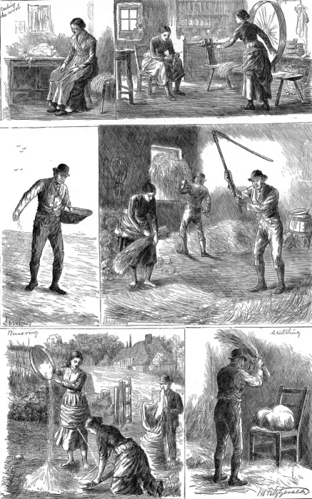Framed Print : Scenes of peasant working life, Ireland Framed Print : Scenes of peasant working life, Ireland