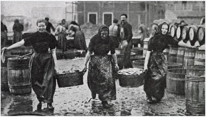 Framed Print : Scotch Herring Women Workers 1902 Framed Print : Scotch Herring Women Workers 1902