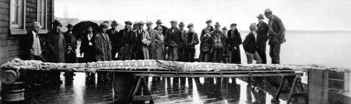 Framed Print : Sea monster discovered in British Columbia Framed Print : Sea monster discovered in British Columbia