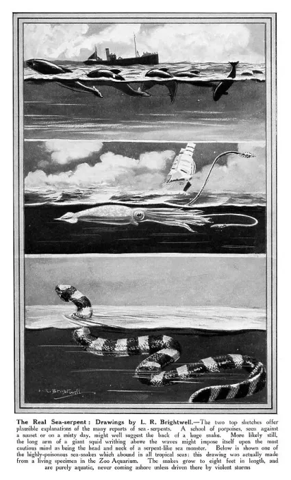 Framed Print : Sea Serpents