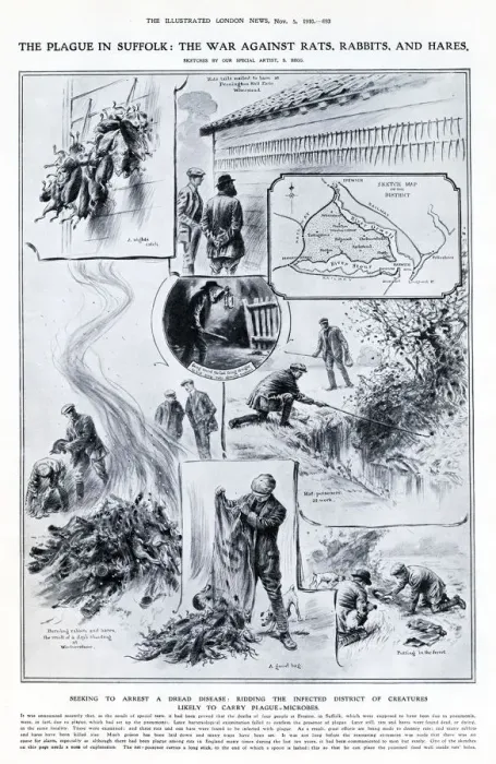 Framed Print : Seeking to arrest the dread disease: ridding the infected district of creatures likely to Framed Print : Seeking to arrest the dread disease: ridding the infected district of creatures likely to