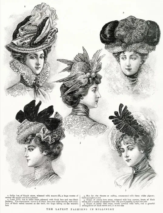 Framed Print : A selection of late Victorian hats for women. Date: 1900 Framed Print : A selection of late Victorian hats for women. Date: 1900