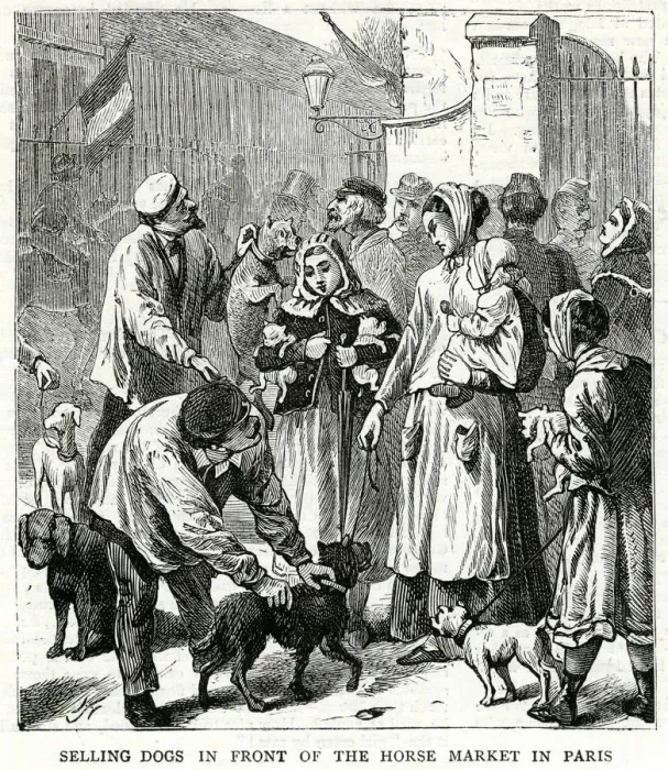 Framed Print : Selling dogs for food 1871