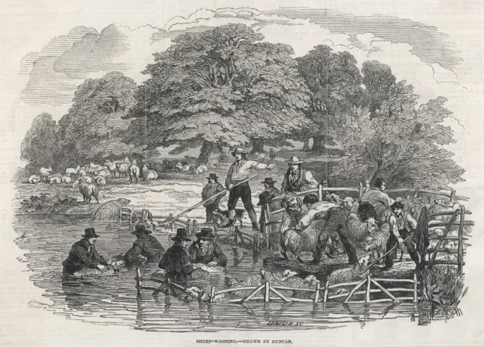 Framed Print : Sheep-Washing 1846 Framed Print : Sheep-Washing 1846