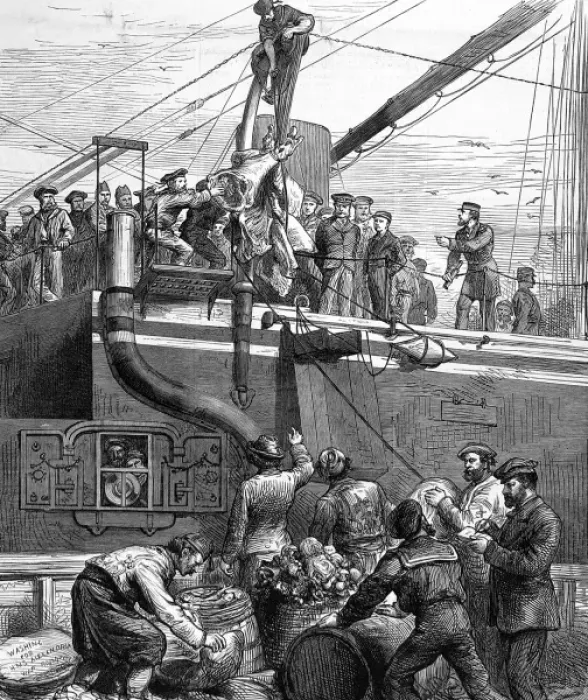 Framed Print : Shipping Beef on Board HMS Alexandra, 1878 Framed Print : Shipping Beef on Board HMS Alexandra, 1878