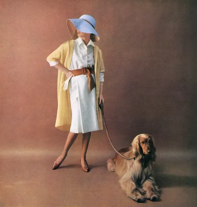 Framed Print : Shirtwaister dress by Michael, 1959 Framed Print : Shirtwaister dress by Michael, 1959