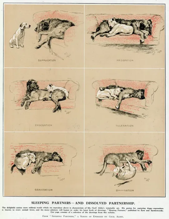 Framed Print : Sleeping Partners and Dissolved Partnership, Cecil Aldin Framed Print : Sleeping Partners and Dissolved Partnership, Cecil Aldin
