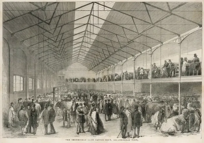 Framed Print : Smithfield Cattle Show Framed Print : Smithfield Cattle Show