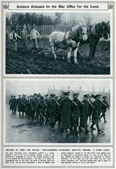 Framed Print : Soldiers released by the War Office for land 1917