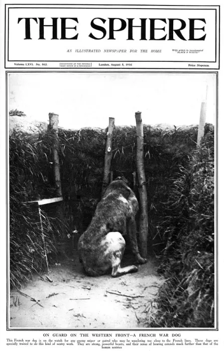 Framed Print : Sphere cover - French War Dog on Guard Framed Print : Sphere cover - French War Dog on Guard