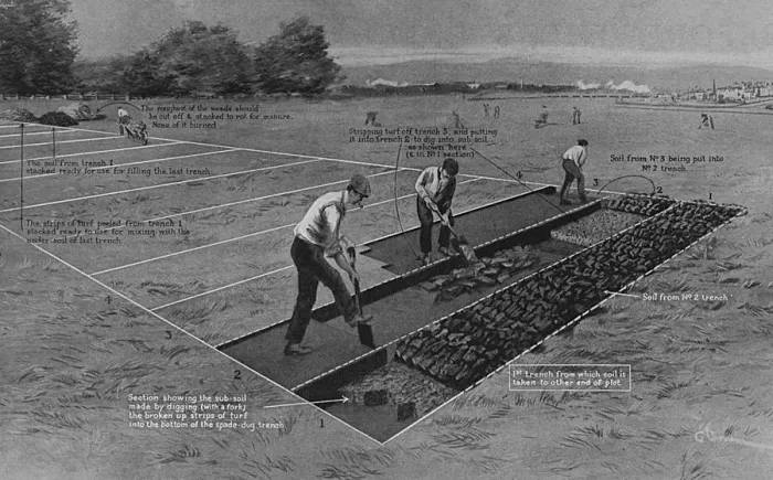 Framed Print : How to start an allotment during WW1