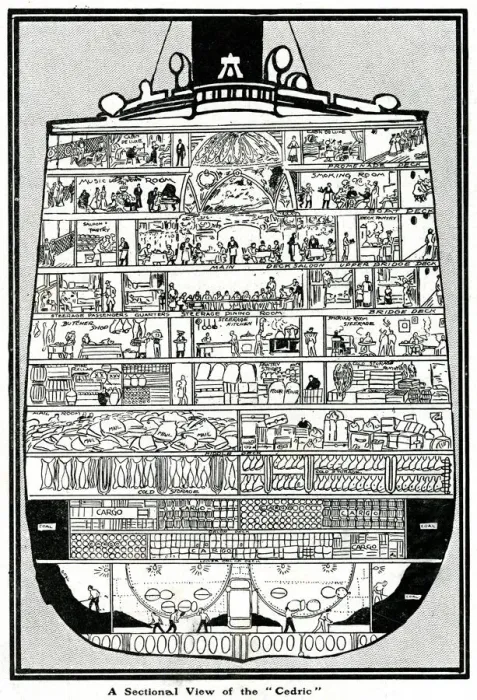 Framed Print : Steamship Cedric in cross-section to show contents Framed Print : Steamship Cedric in cross-section to show contents