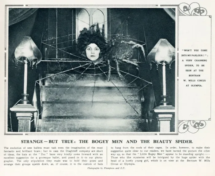 Framed Print : Strange - But True - The Bogey Men and the Beauty Spider Framed Print : Strange - But True - The Bogey Men and the Beauty Spider