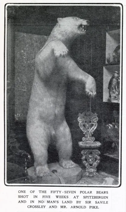 Framed Print : A stuffed and mounted Polar Bear at Somerleyton Hall near Lowerstoft Framed Print : A stuffed and mounted Polar Bear at Somerleyton Hall near Lowerstoft