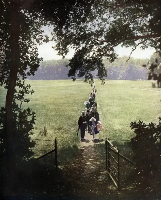 Framed Print : When the Sun Shines at Ascot