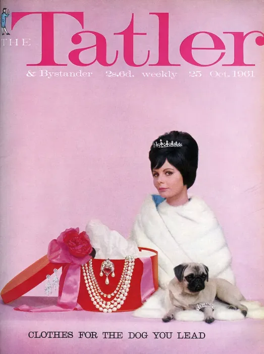 Framed Print : Tatler cover Clothes for the Dog You Lead 1961