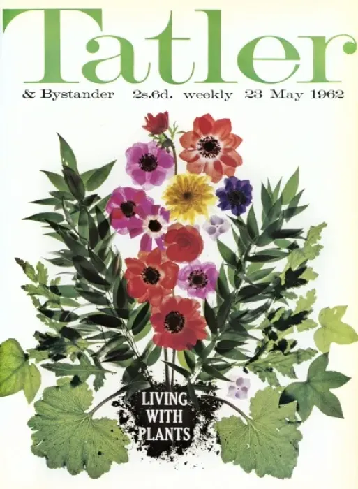 Framed Print : Tatler front cover - May 1962 Framed Print : Tatler front cover - May 1962