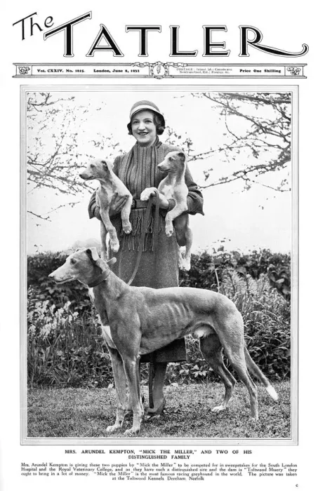 Framed Print : Tatler cover - Mrs Arundel Kempton & Mick the Miller Framed Print : Tatler cover - Mrs Arundel Kempton & Mick the Miller